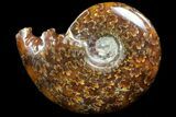 Polished, Agatized Ammonite (Cleoniceras) - Madagascar #73250-1